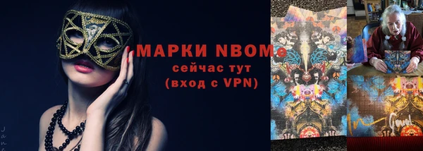прущие грибы Абаза