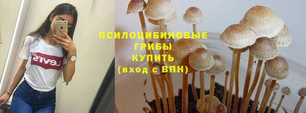 MESCALINE Абинск