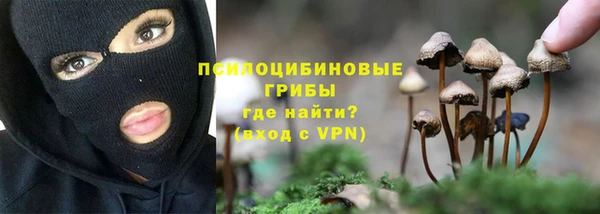трава Алексеевка