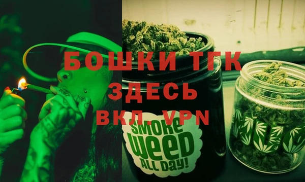 прущие грибы Абаза