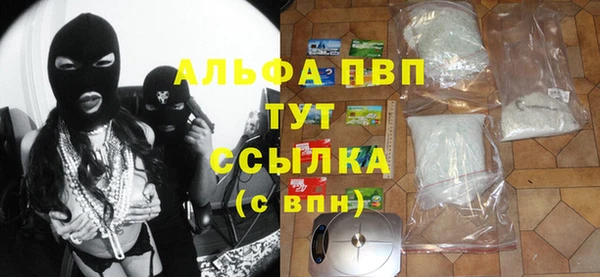 прущие грибы Абаза