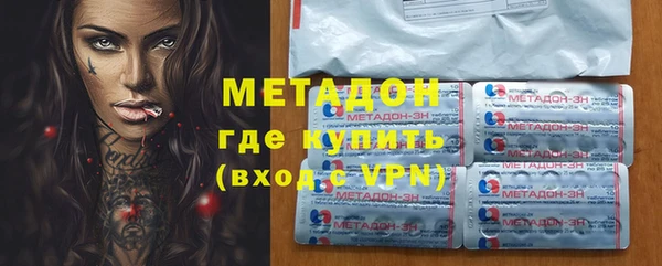 прущие грибы Абаза