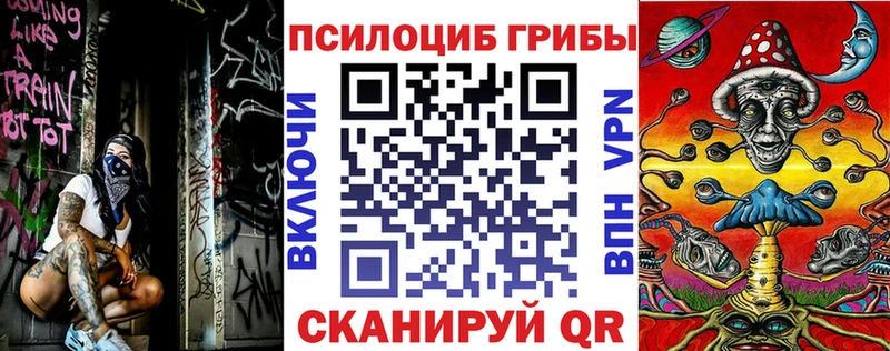 Псилоцибиновые грибы GOLDEN TEACHER  Пудож 
